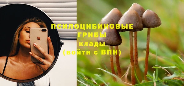 прущая мука Абаза
