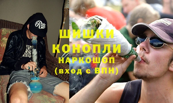 тгк Няндома